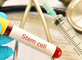 The Power of Stem Cell Therapy for Dogs and Cats