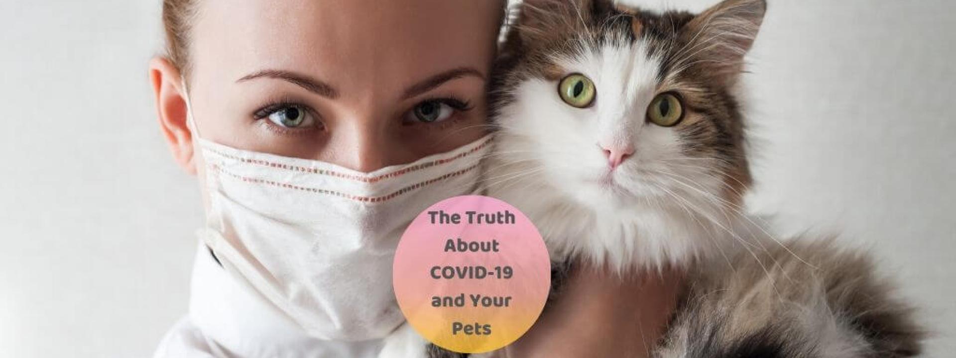 the truth about COVID-19 and your pets