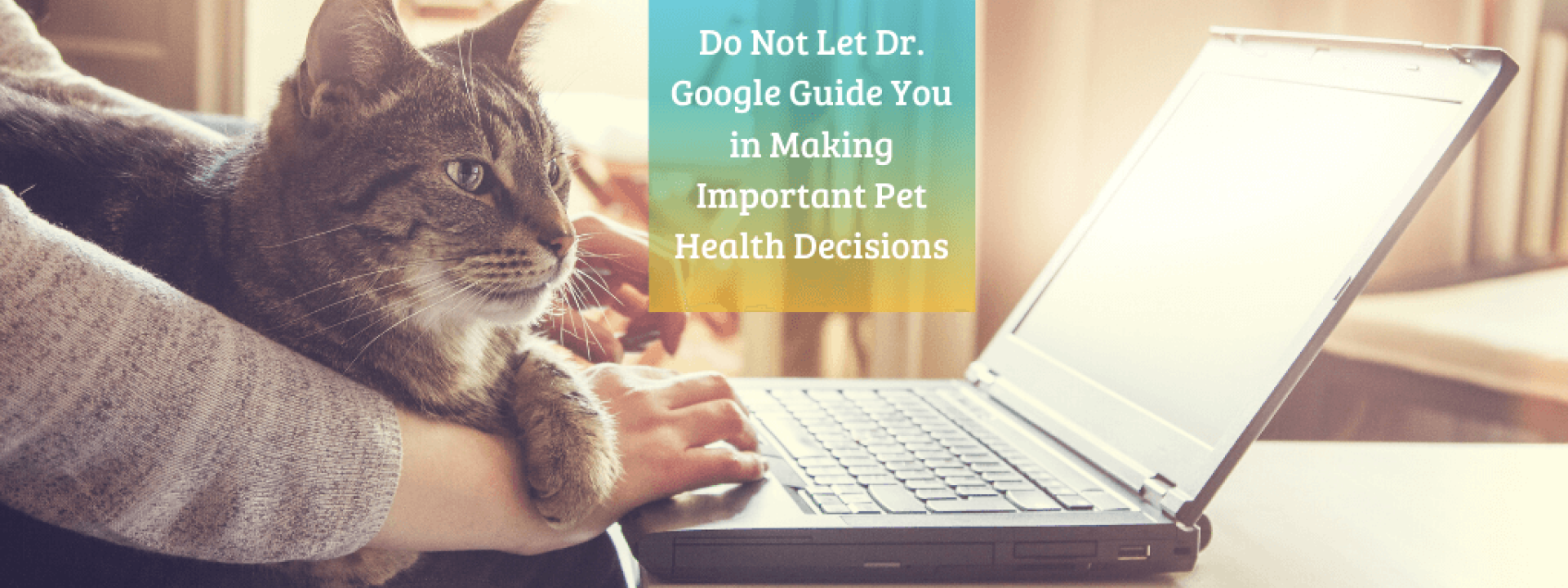 Don't use Google for important pet health questions