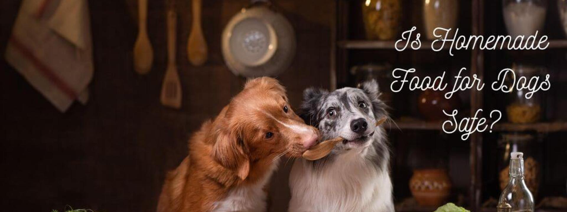 Is Homemade Food for Dogs Safe?