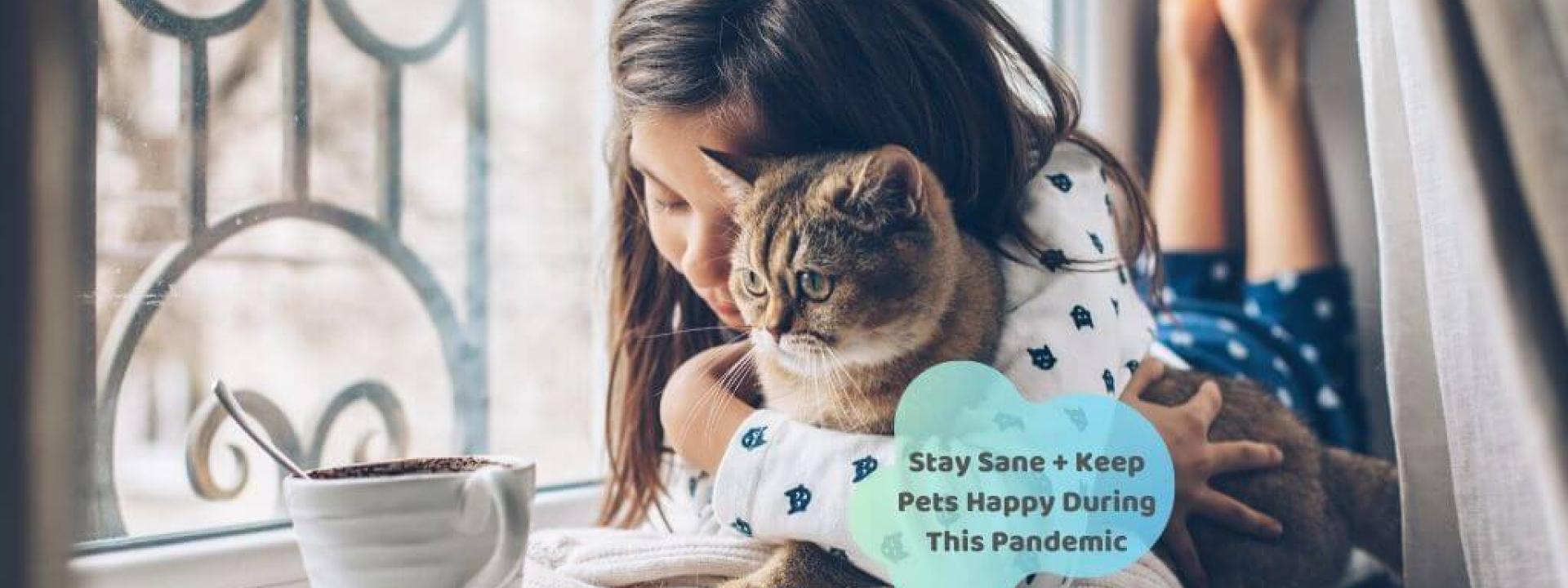 keep pets happy during pandemic